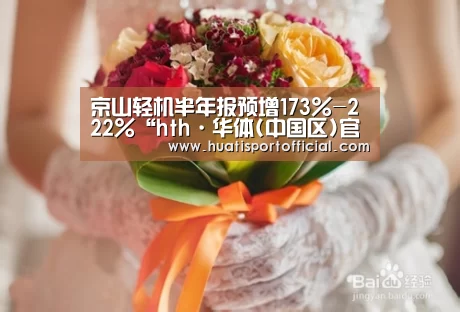 京山轻机半年报预增173%-222%“hth·华体(中国区)官方网站”(图2) hth·华体(中国区)官方网站