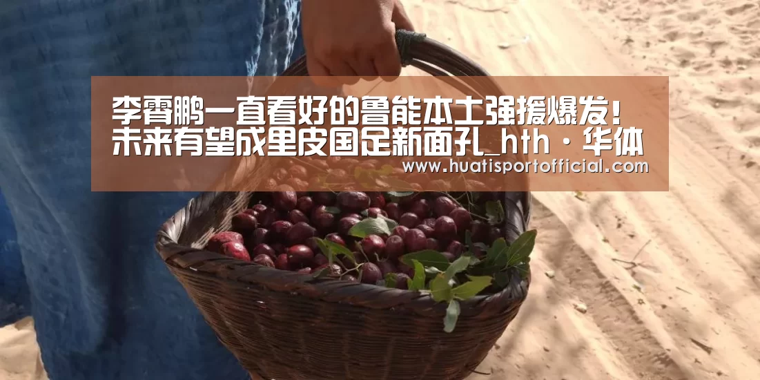 李霄鹏一直看好的鲁能本土强援爆发!未来有望成里皮国足新面孔_hth·华体网站(图3) hth官方网站