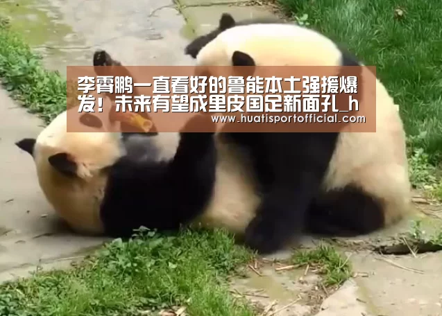 李霄鹏一直看好的鲁能本土强援爆发!未来有望成里皮国足新面孔_hth·华体网站(图2) hth官方网站
