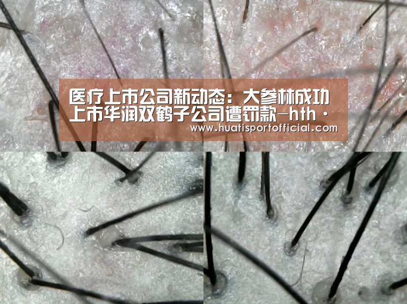 医疗上市公司新动态:大参林成功上市华润双鹤子公司遭罚款-hth·华体(中国区)官方网站(图1) hth·华体网站