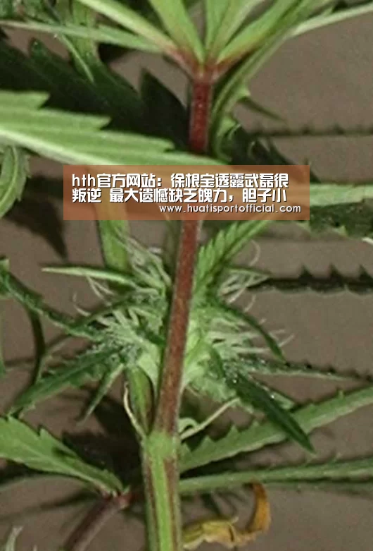 hth官方网站:徐根宝透露武磊很叛逆 最大遗憾缺乏魄力,胆子小(图3) hth·华体网站